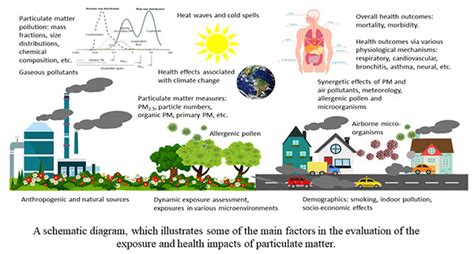 Understanding Urbanization: Exploring the Evolution, Impact, and Future of City Growth in Modern Society