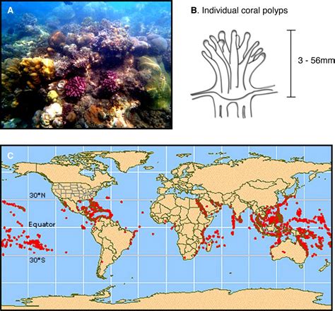 Comprehensive Analysis of Global Biomes: Exploring Climate Zones, Ecosystem Diversity, and Environmental Impacts Across the World's Major Habitats